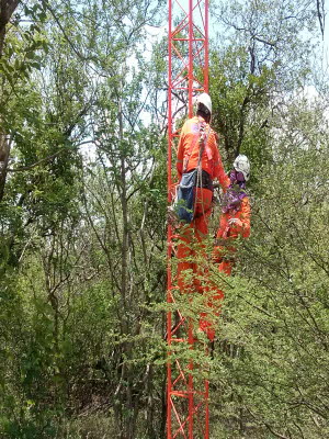 PEOLES7 (2448 x 3264)