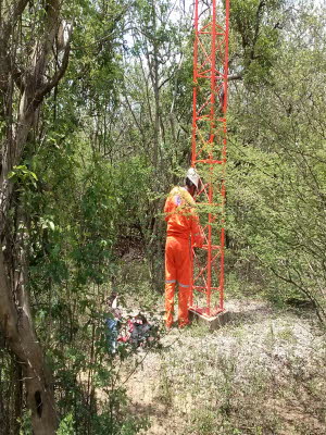 PEOLES8 (2448 x 3264)