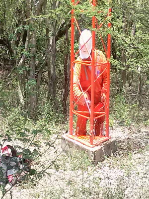 PEOLES9 (2448 x 3264)